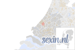 gemeente rijswijk